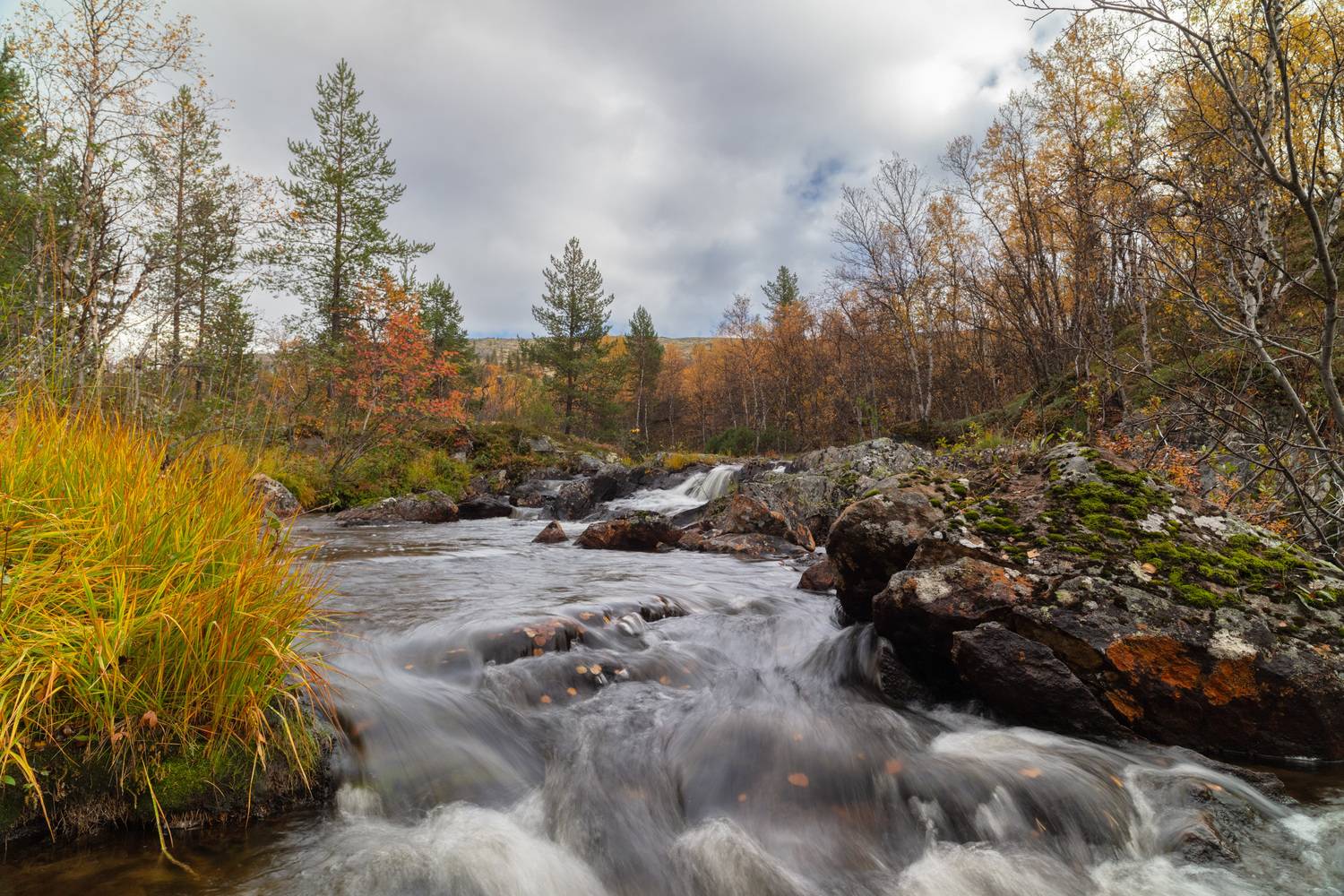 , Ворошилов Александр