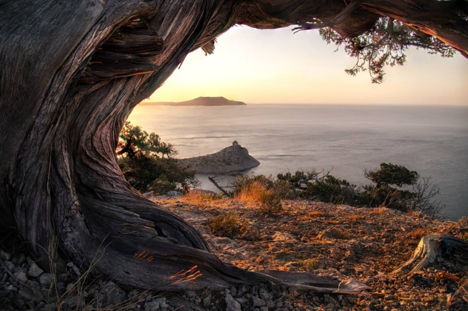 Крым, Россия, Море, Рассвет, Андрей Малыгин