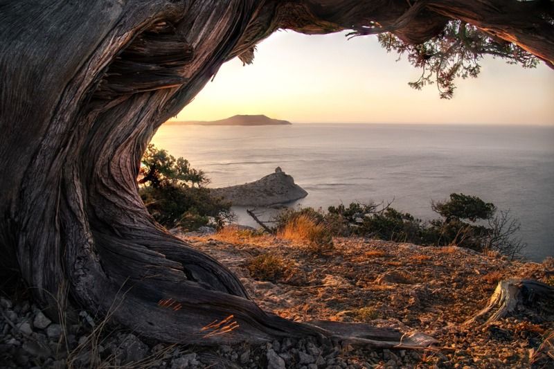 Крым, Россия, Море, Рассвет Утро фото превью