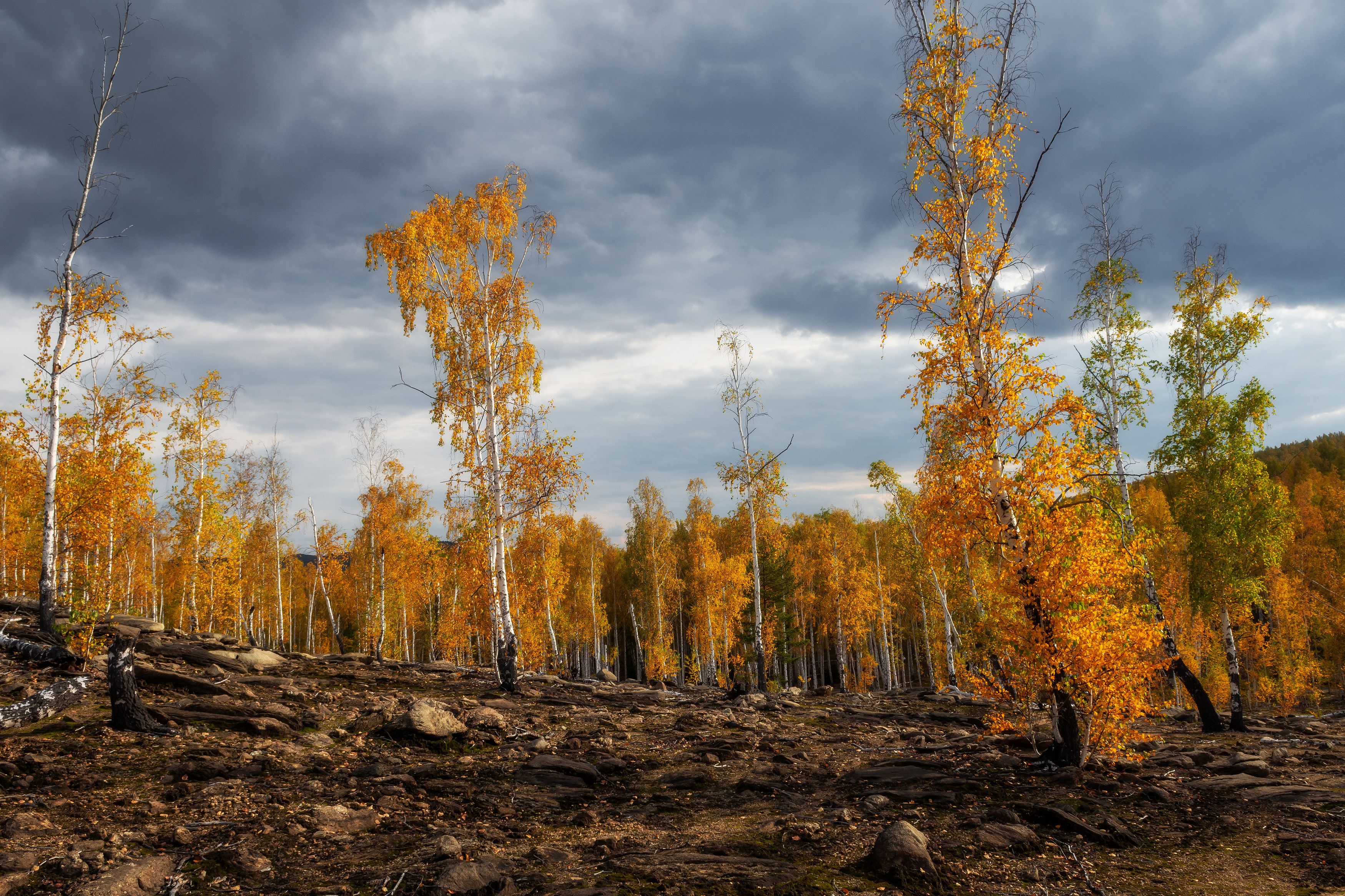 ******* фото превью