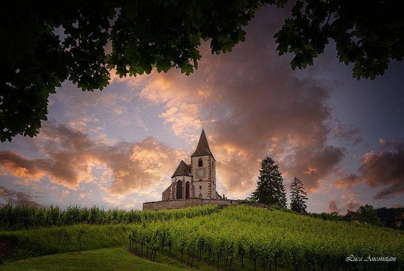france vineyards landscape church nature travel French vineyards фото превью