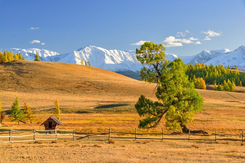 алтай, курайская степь Осень в Курайской степи фото превью