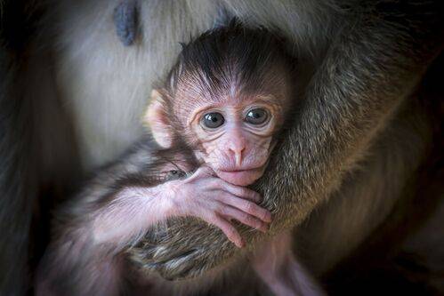 Ангкор ват (Обитель Вишну) часть 3
