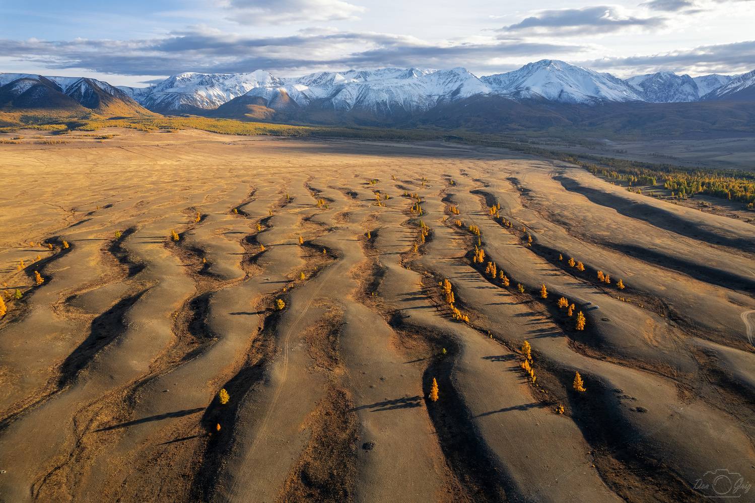 алтай, курайская степь, Григорашев Денис