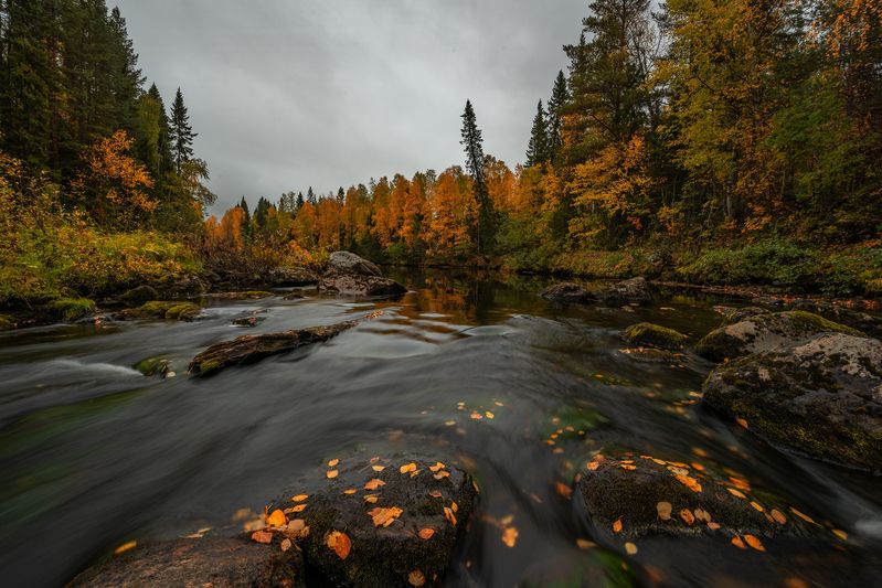 север, кольский, заполярье,  фото превью