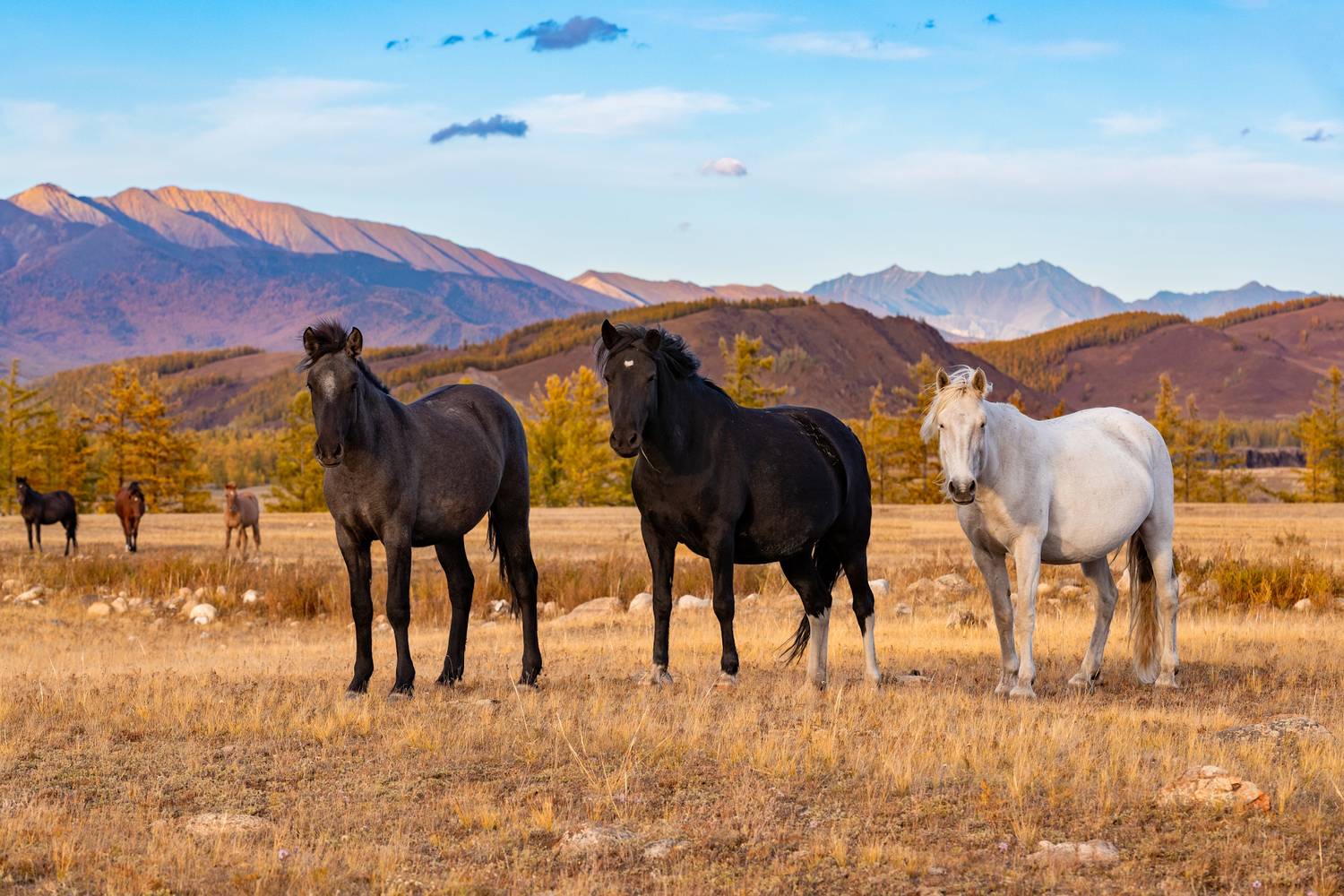 , Буянов Илья