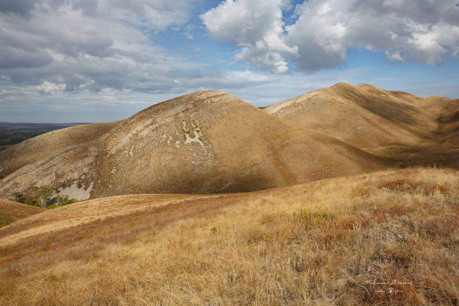 , Никитин Алексей