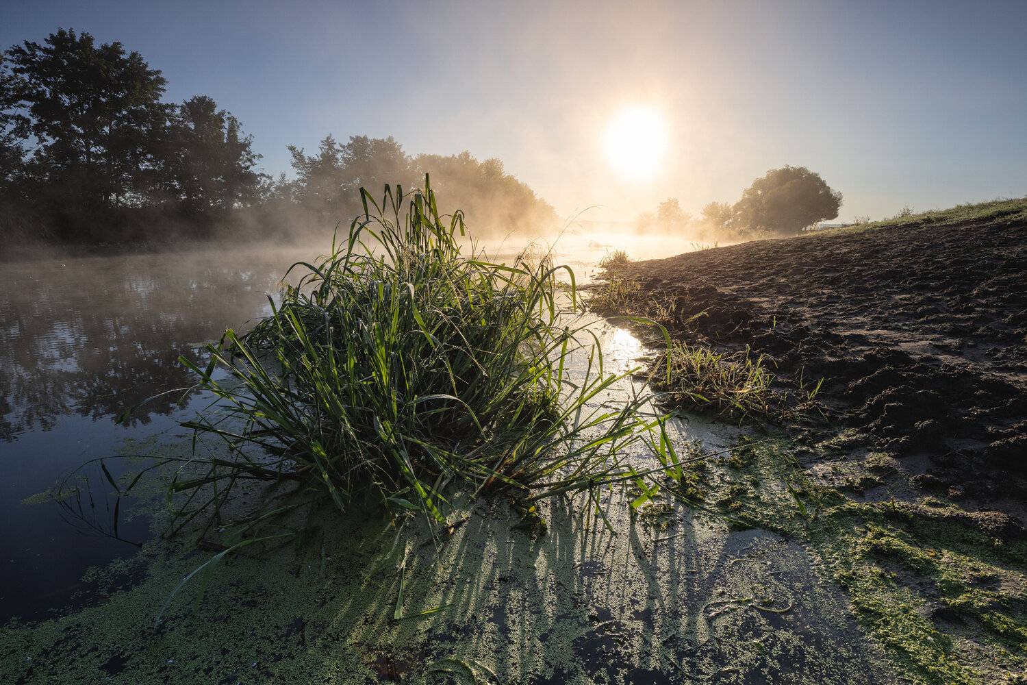 , Александр Бредихин
