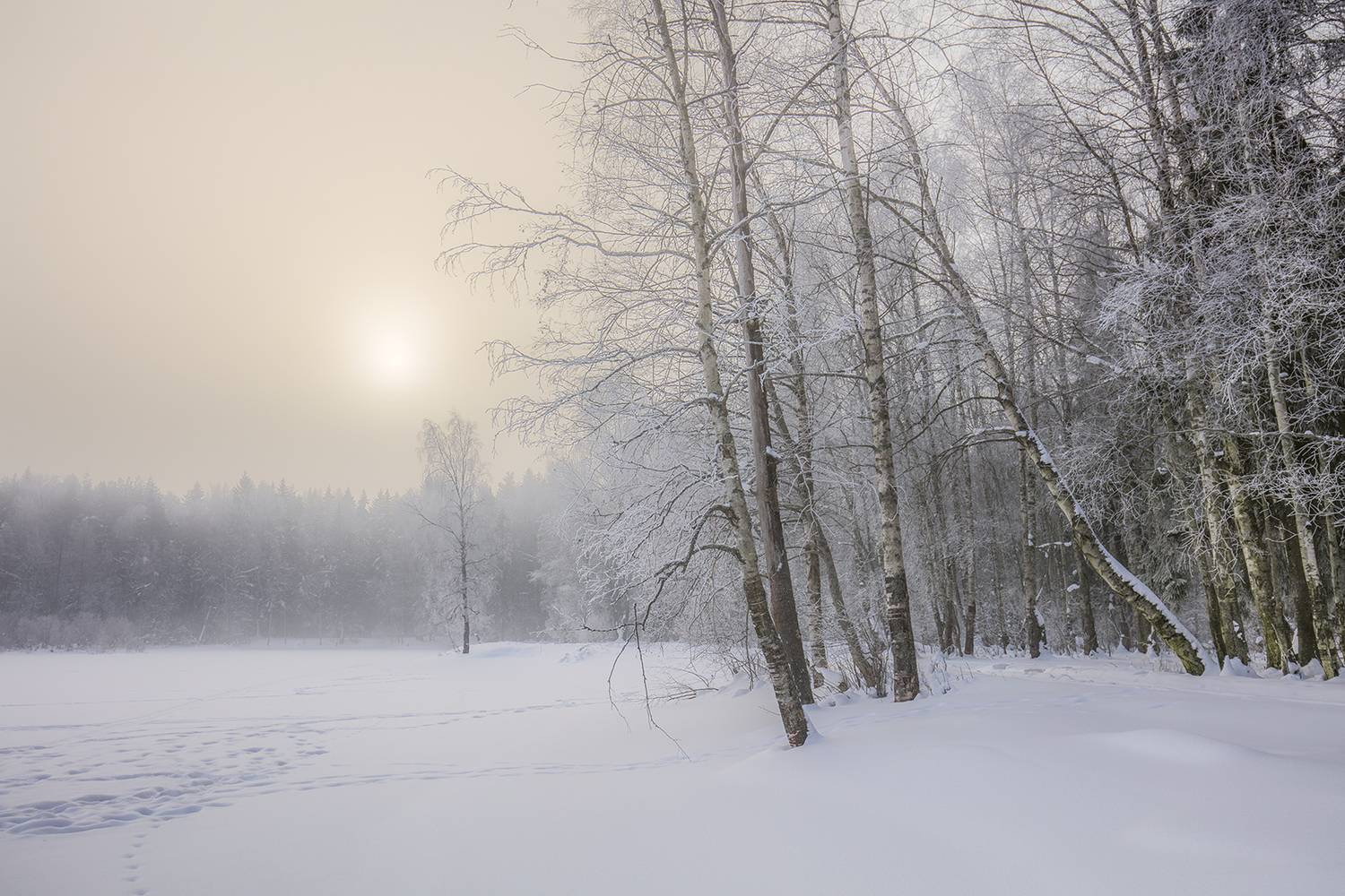 ,  александр михайлов