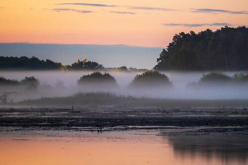 Туманное утро