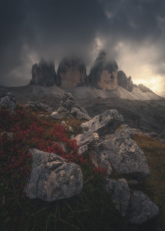 Tales and Tragedies фото превью