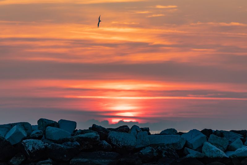 Восход фото превью