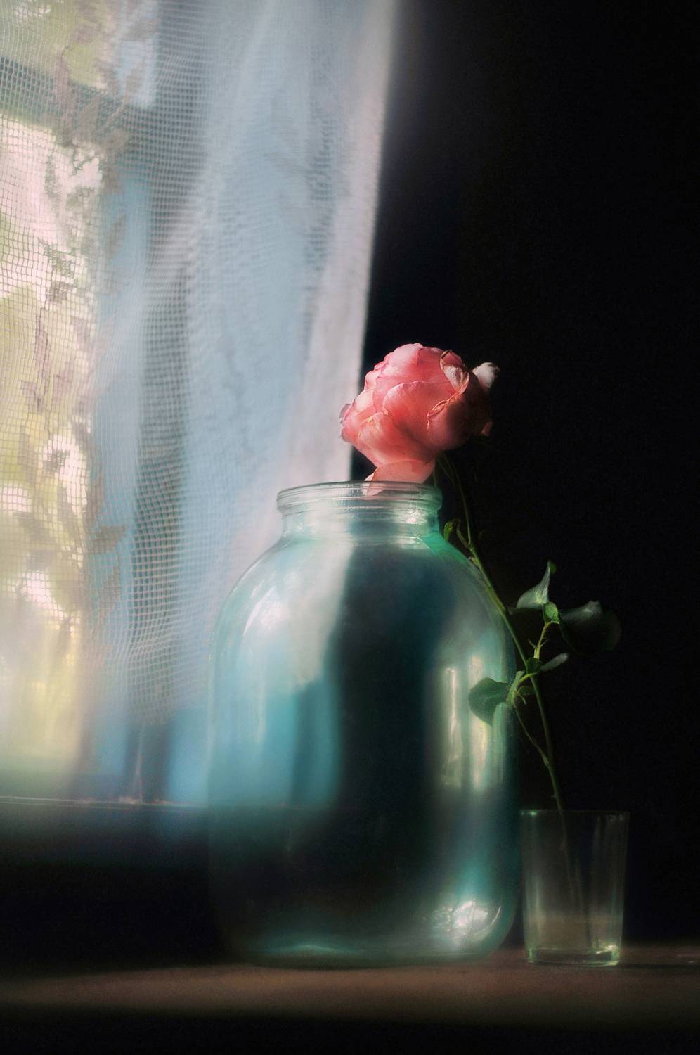 натюрморт, роза, лето, настроение, still life, rose, Буглак Инна