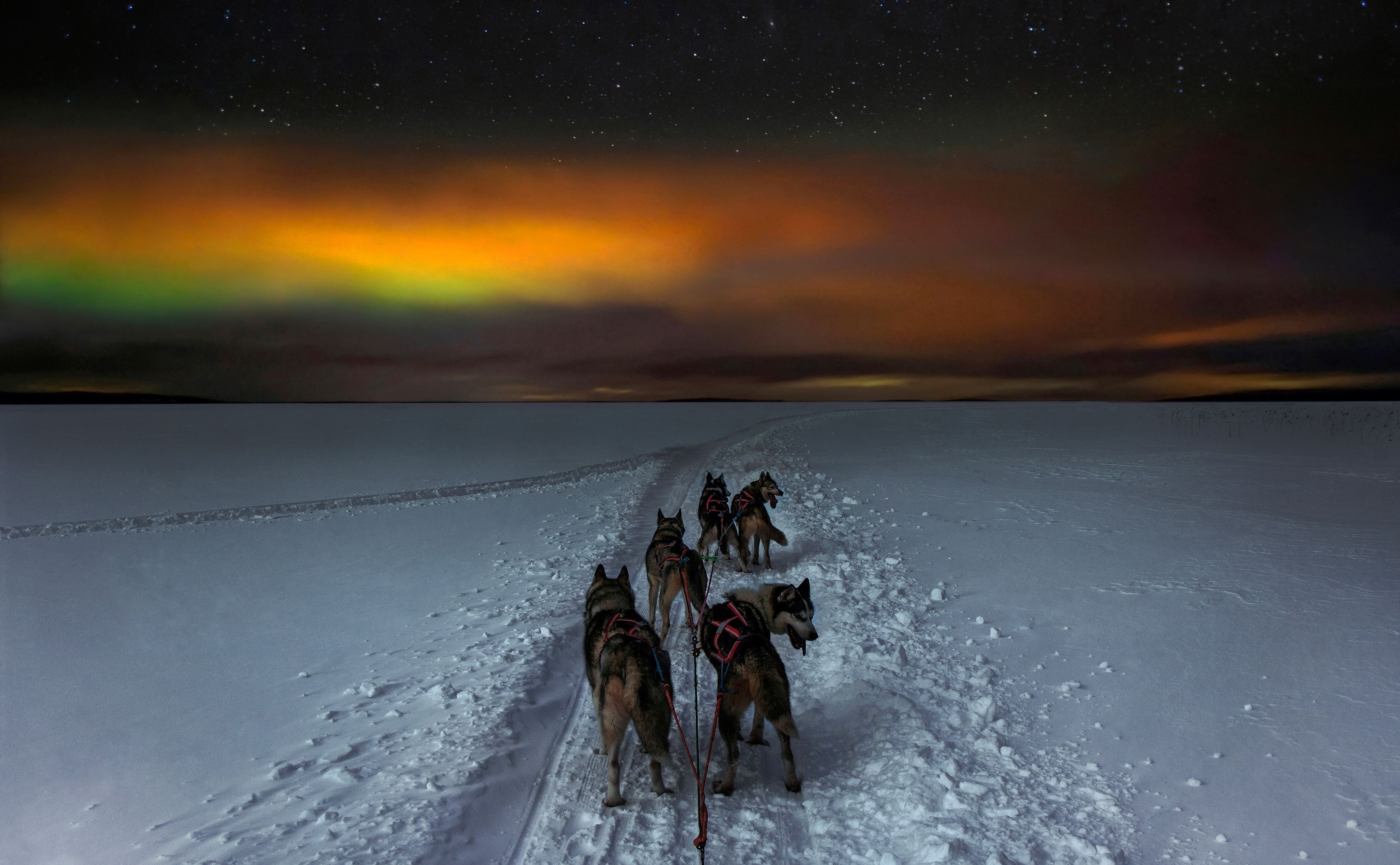 Lapland Explorer фото превью