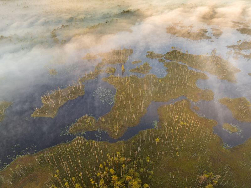 Туманное утро фото превью