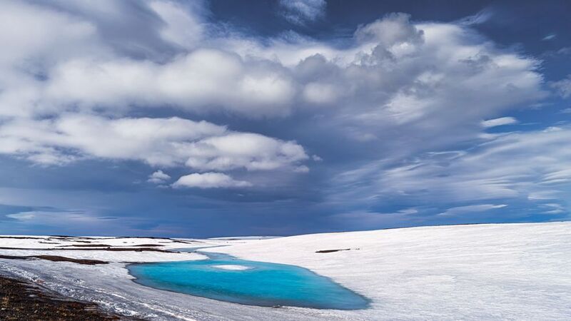 Проталина фото превью