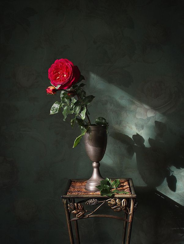 Заглянуло ненадолго лето красное в окно. фото превью