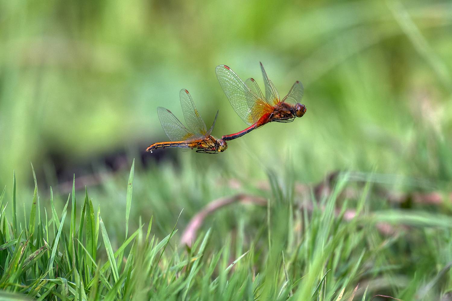 , Кузнецов Кирилл