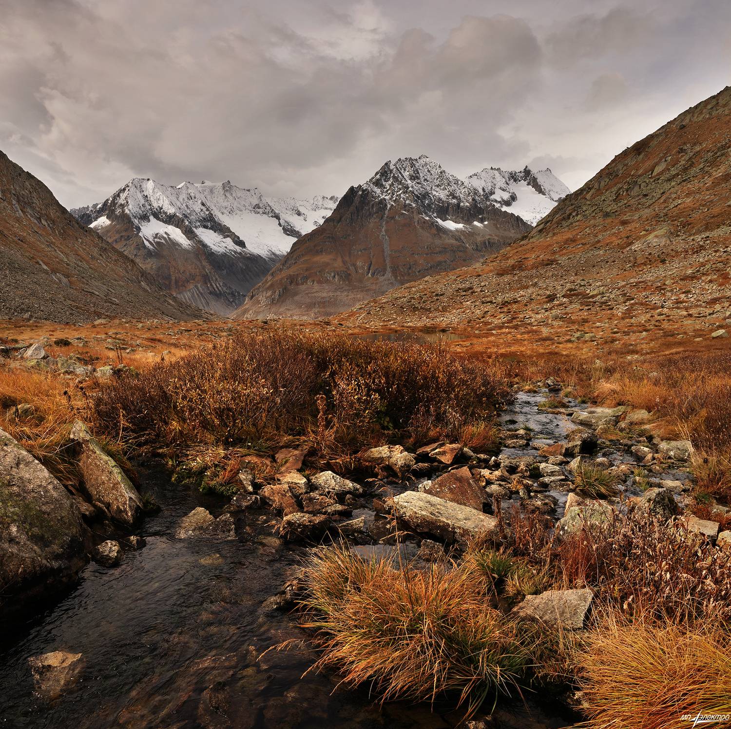 swiss, Матвеев Николай