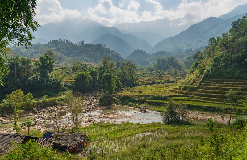 вьетнам, сапа, рисовые террасы Са Па фото превью