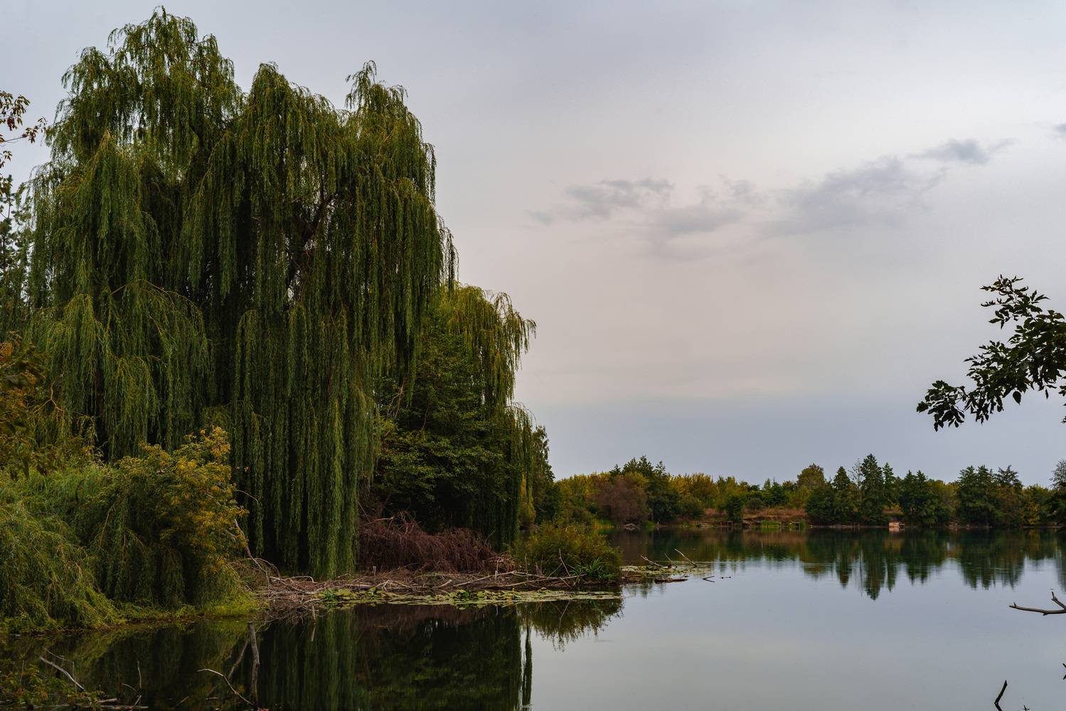 , Вертиков Юрий