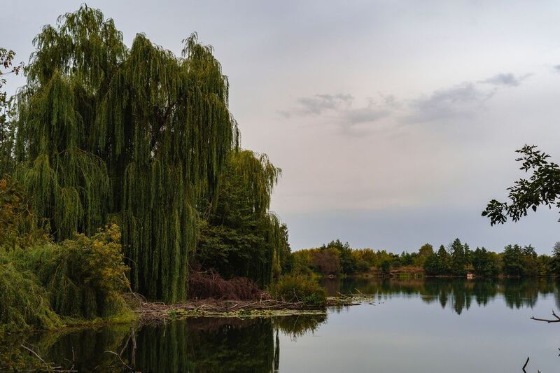 Озеро фото превью