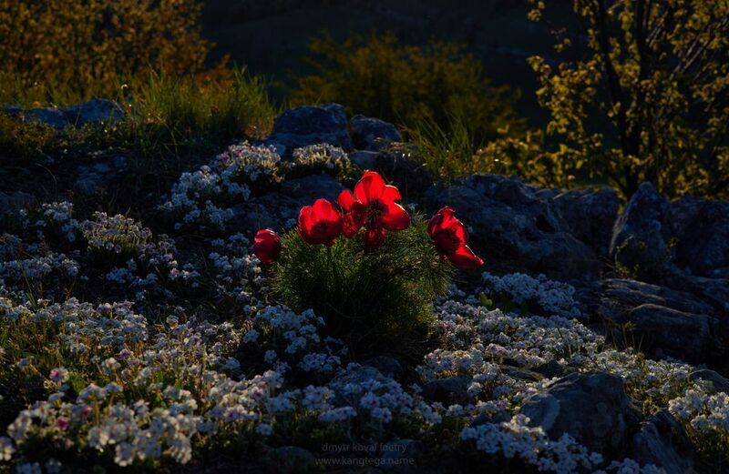 пейзажемагьё, пейзаж-как-виденье Когда Осень заглядывается на Весну … фото превью