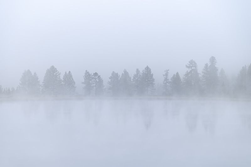 Утренние туманы…  Morning fogs... фото превью