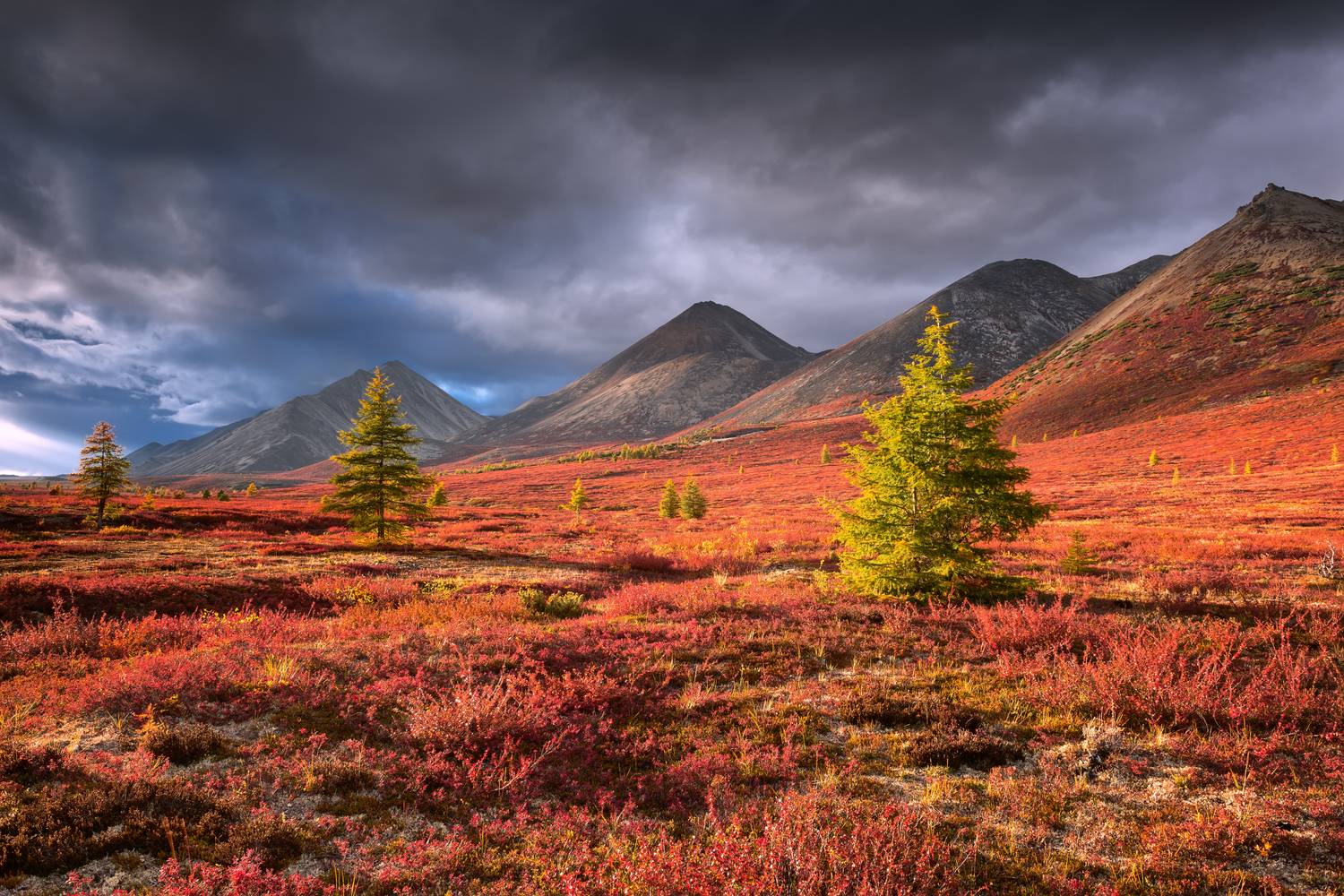 , Евдокимов Максим