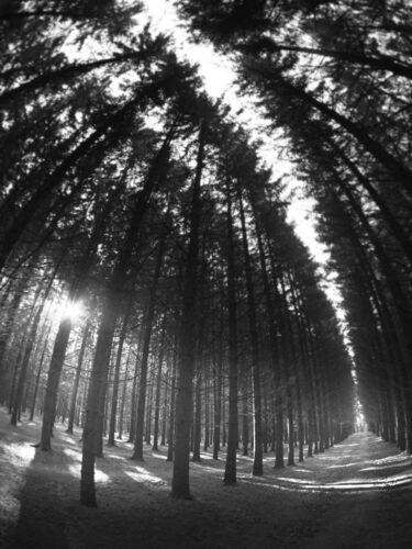 Однажды утром в сентябре.