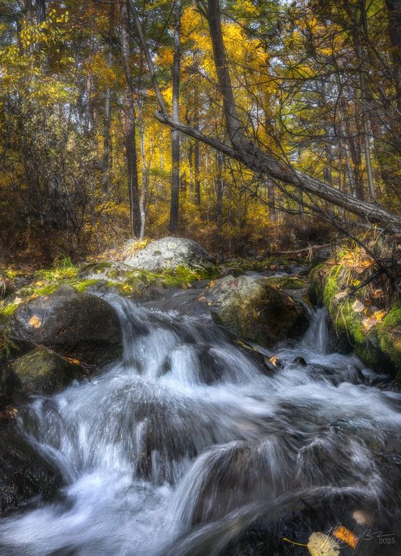 Алханай животворящий 2. фото превью