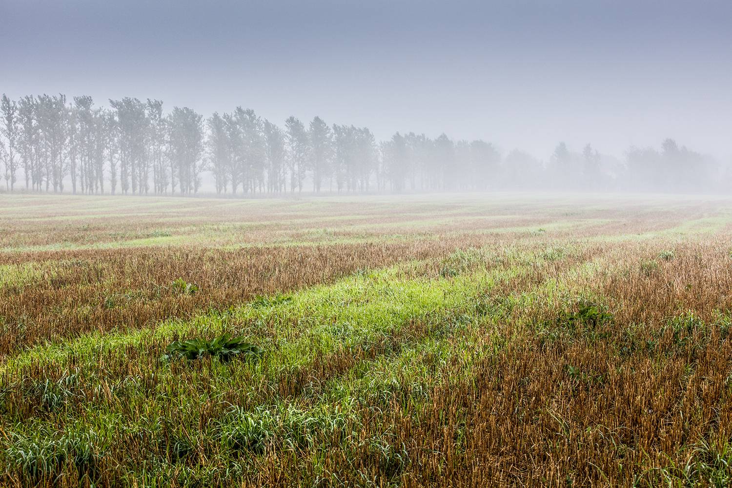 , Aleksandr Mihailov