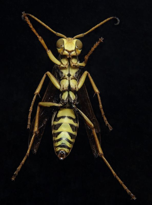 Let Me In !! фото превью