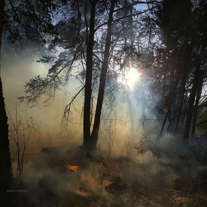 *** фото превью