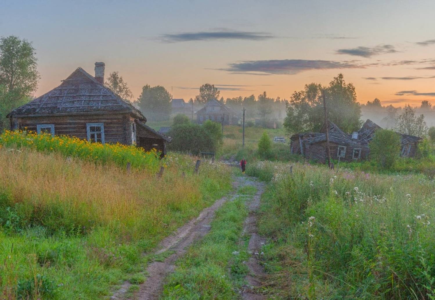 , Петр Косых