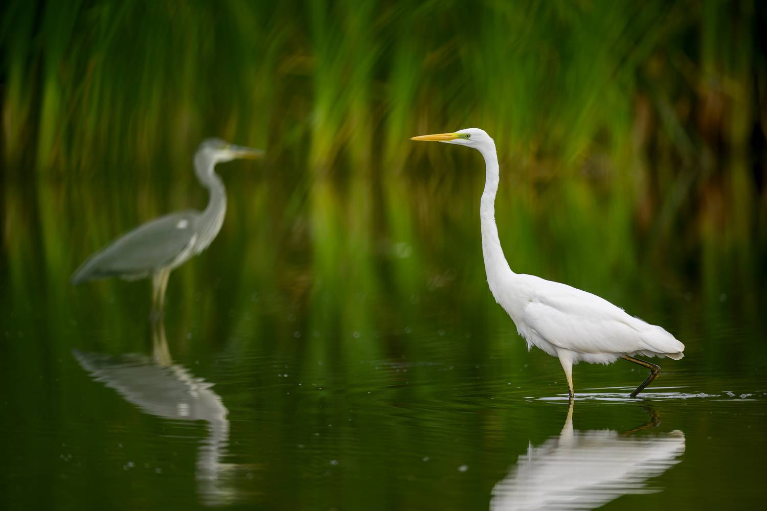 , Пупонин Сергей