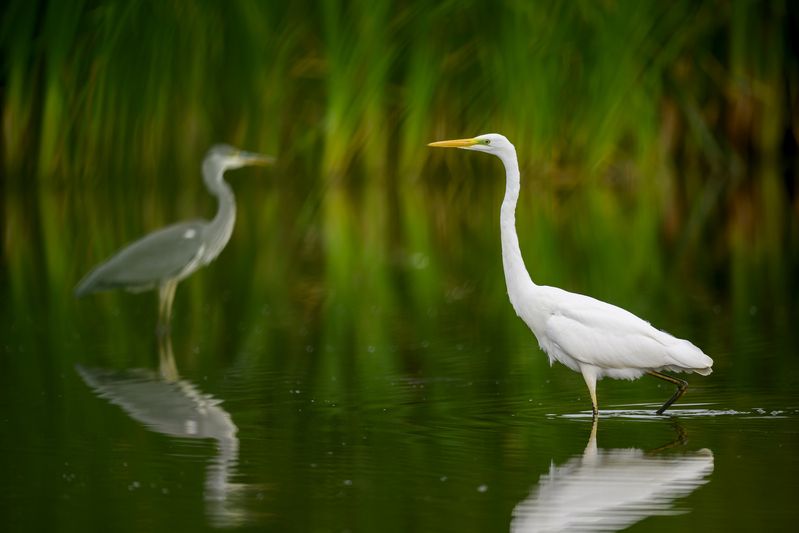 Враг в отражении фото превью