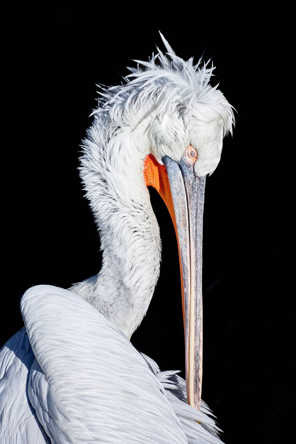 , ssmirs Сергей