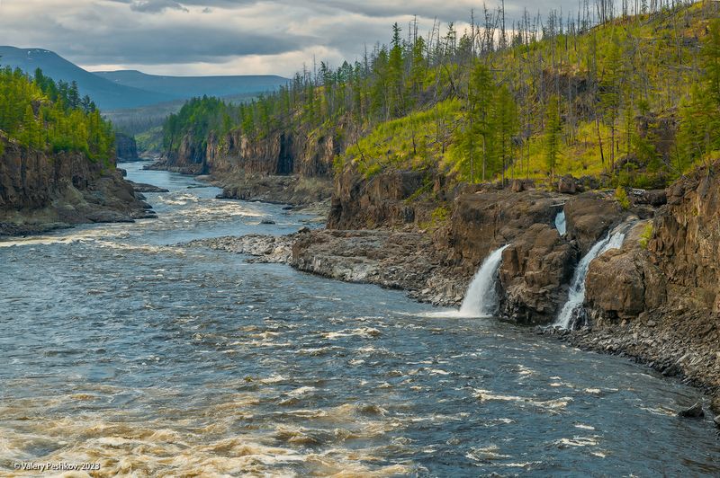 река курейка, каньон, плато путораны, скалы, пороги, лиственницы, владимир коваль Каньон Курейки фото превью