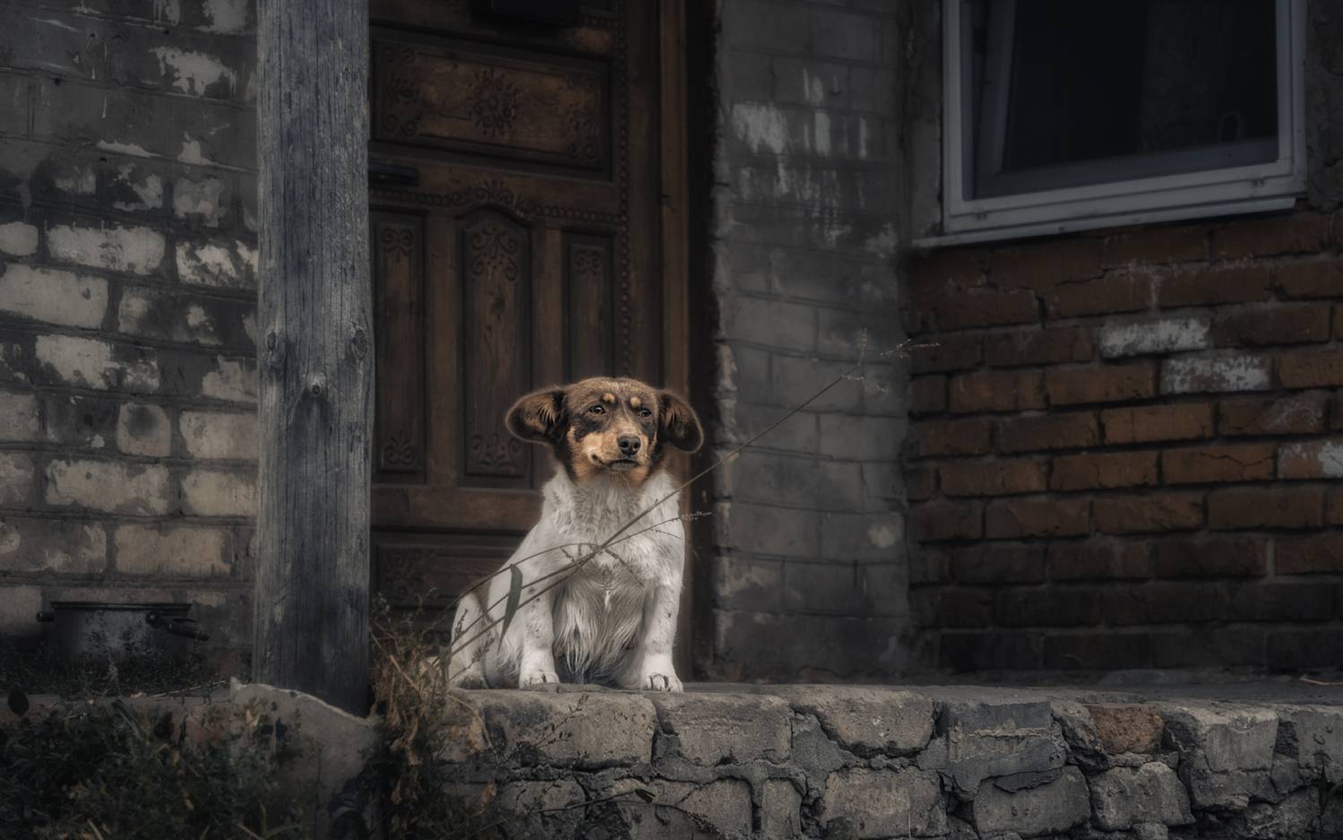 , Олег Дунаев