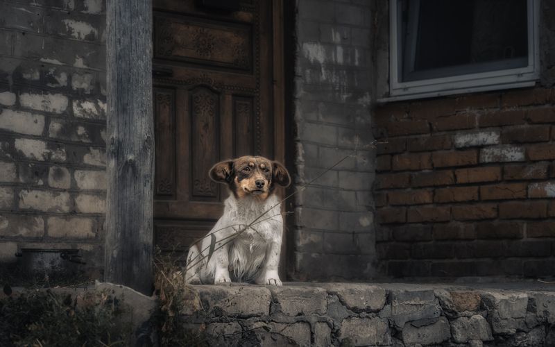 +++ фото превью