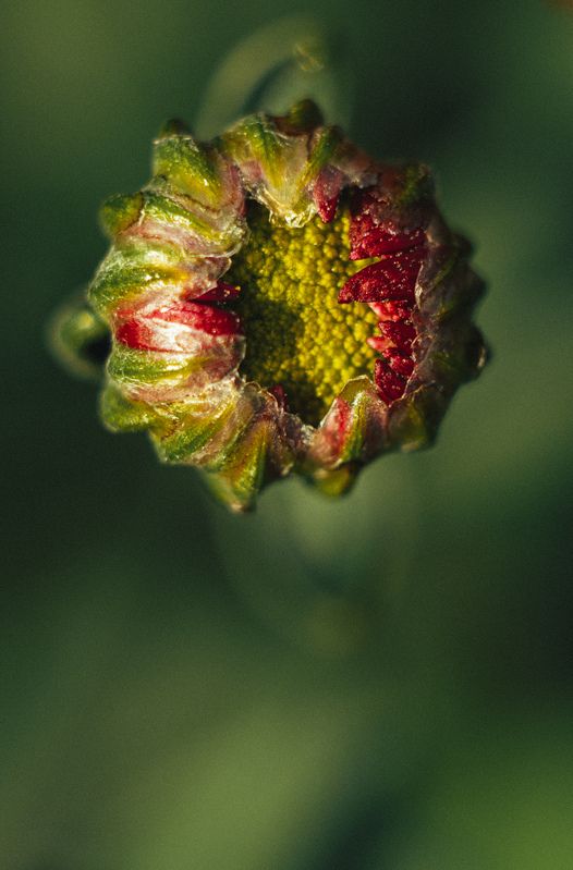 Новая жизнь фото превью