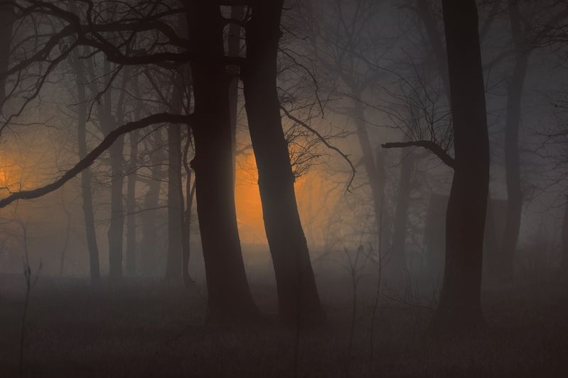 Ночной туман фото превью