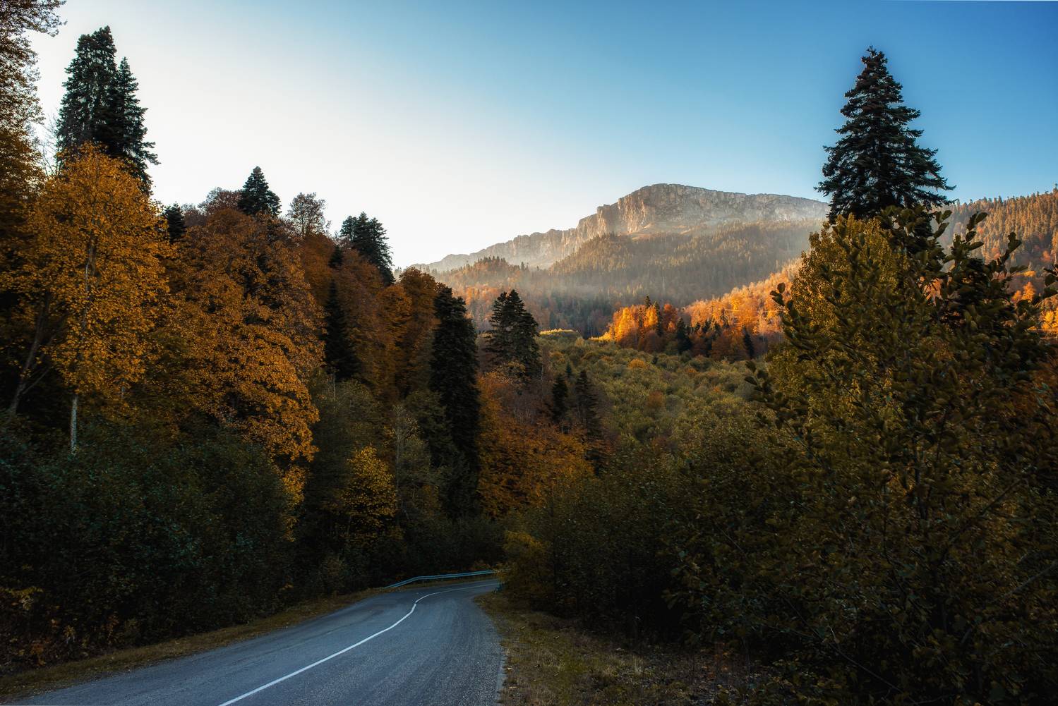 , Дмитрий Величко