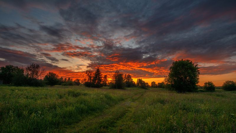 великий двор,вологодчина,кема,север  фото превью