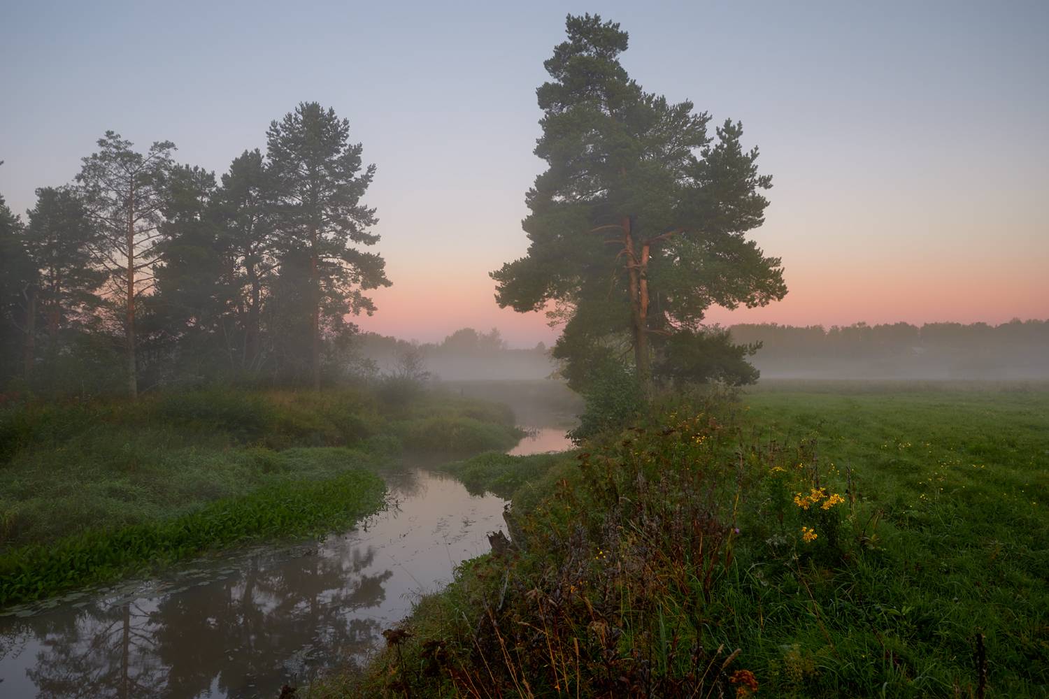 , Роман Лушпа