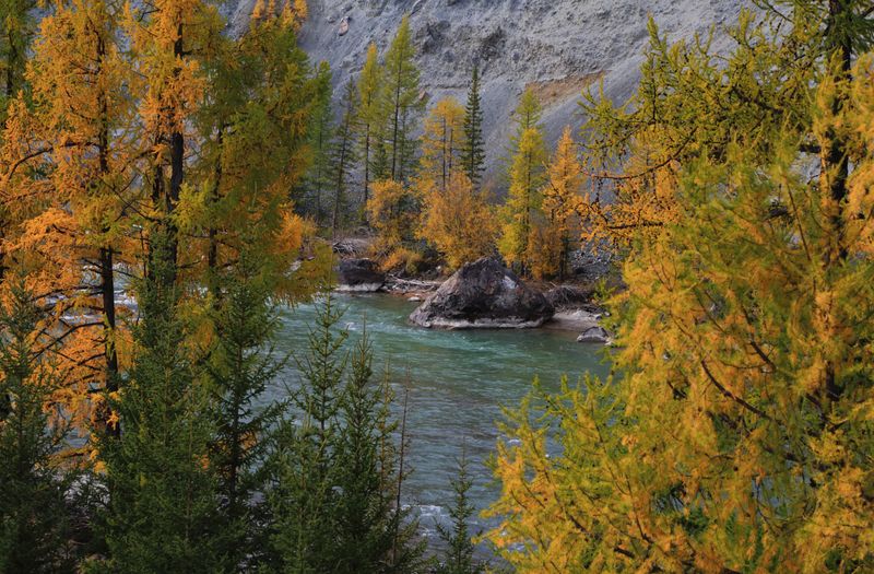 р. Чуя фото превью