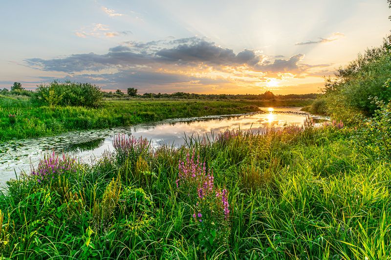 закат на озере Закат на озере фото превью