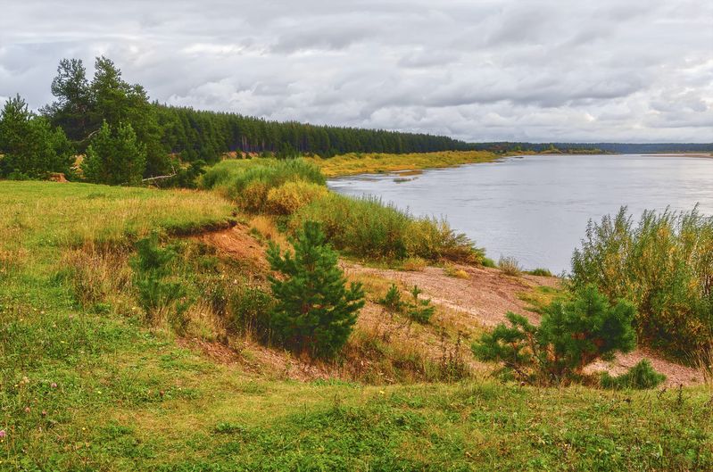 осень сентябрь река пинега вода берег деревья кусты трава небо пасмурно Настроение - осень... фото превью