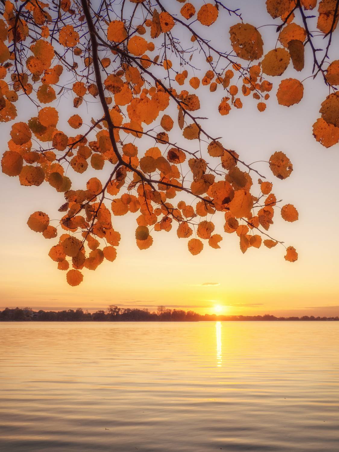 , Андрей Хаймин